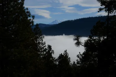 DSC_3153 (Large).JPG